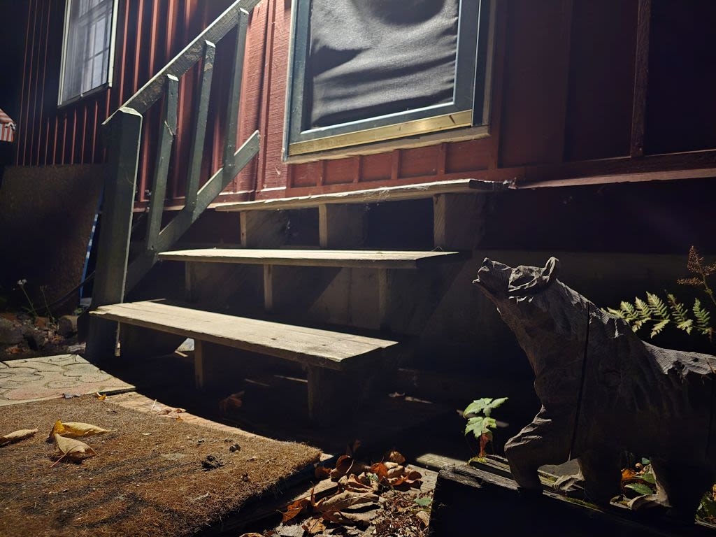 Photo of the front door to the house I quarantined in. The statue of a bear frozen in time stands guard in the bottom right corner.