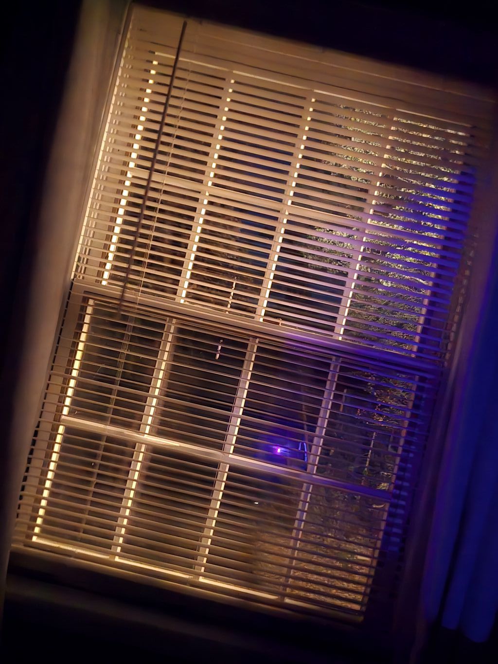 Crooked view of a bedroom window, the same one I stared out of while locked in the house.