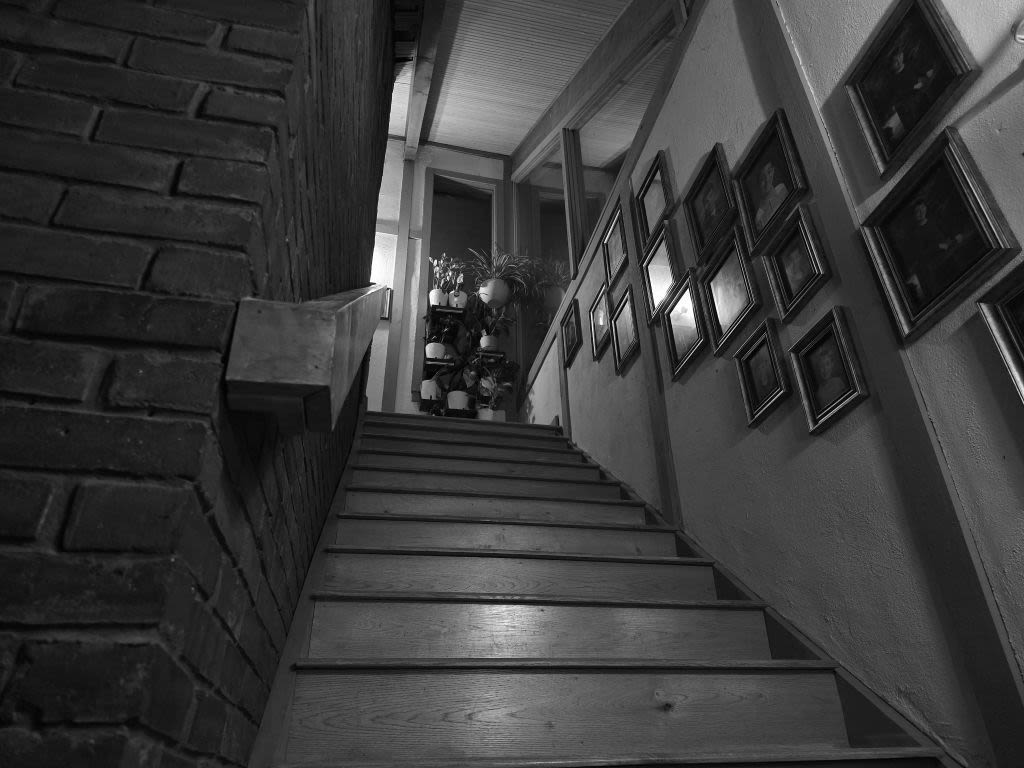 A view up through the stairwell to the second floor. Portraits of my family hang from the wall running up the side of the staircase, blocked by a tower of plantlife my stepmother cared for to stave off the dullness of white and brown walls.
